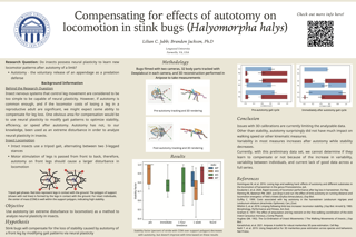 Lilian Jubb's poster